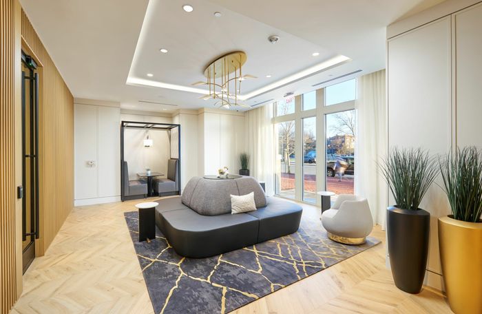 Newly Renovated Lobby With Multiple Seating Areas & Co-Work Spots | Carlyle Place | Luxury Alexandria VA Apartments