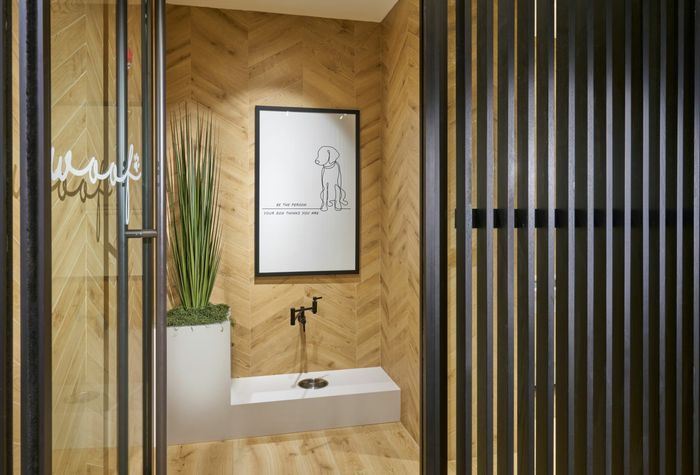 Woof - Pet Spa | Carlyle Place Apartments | Luxury Alexandria VA Apartments