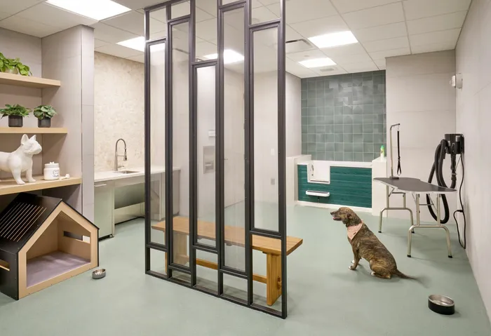 Brand New Pet Spa | Meridian at Ballston Commons | Luxury Arlington VA Apartments
