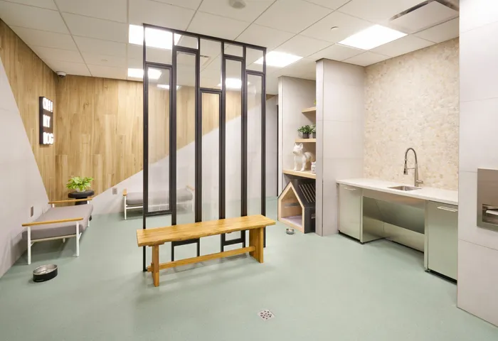 Brand New Pet Spa | Meridian at Ballston Commons | Luxury Arlington VA Apartments