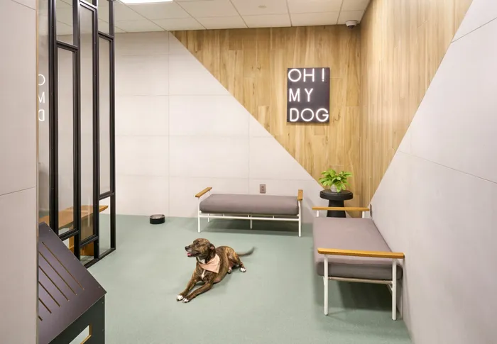 Brand New Pet Spa | Meridian at Ballston Commons | Luxury Arlington VA Apartments