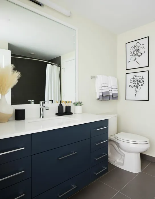 2B-5 Floor Plan Secondary Bathroom- Apartment 512 | Meridian 2250 at Eisenhower Station | Luxury Alexandria VA Apartments