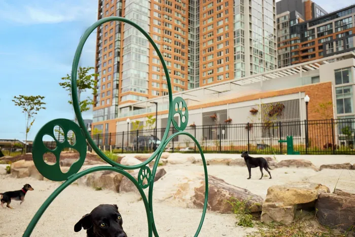 Separate Dog Parks For Big & Small Dogs | Meridian 2250 at Eisenhower Station | Luxury Alexandria VA Apartments