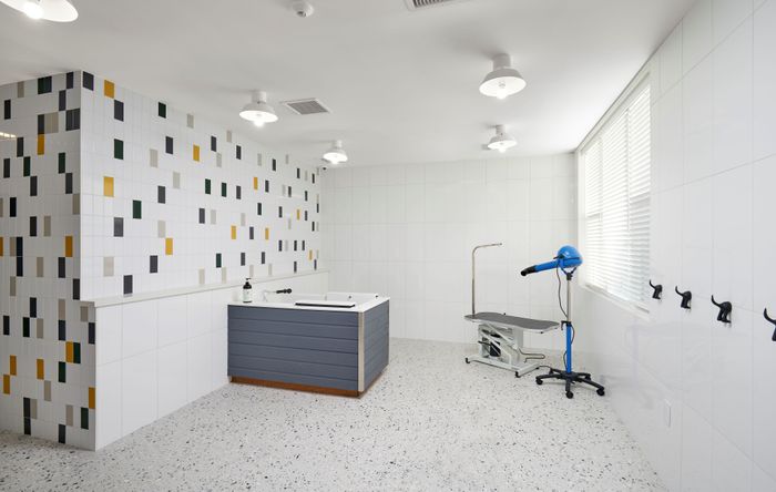 Pet Spa | Robinson at One University | Affordable Fairfax VA Apartments
