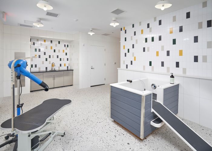 Pet Spa | Robinson at One University | Affordable Fairfax VA Apartments