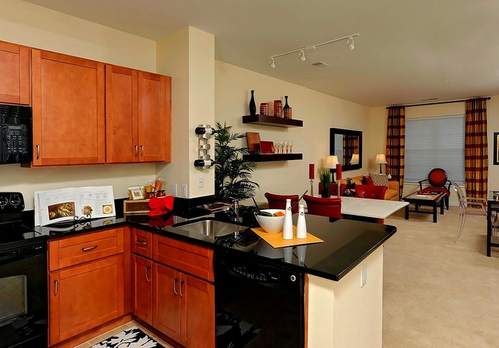 Contemporary Open-Plan Kitchen & Living Area | Madison at Ballston Station | Arlington VA Apartments