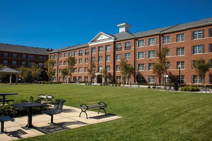 Enjoy Expansive Green Space in Onsite Henry Wright Park | Madison at Ballston Station | Arlington VA Apartments