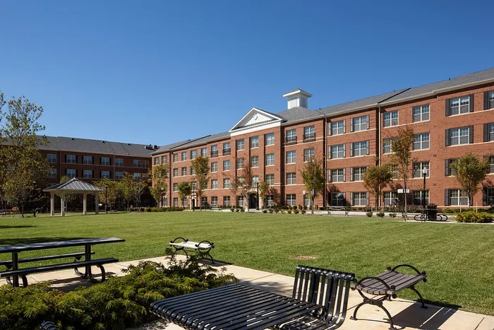 Enjoy Expansive Green Space in Onsite Henry Wright Park | Madison at Ballston Station | Arlington VA Apartments