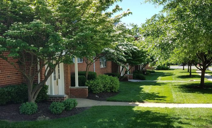 Enjoy Abundant Green Space at East Falls Apartments | Affordable Falls Church VA Apartments | Affordable Arlington VA Apartments