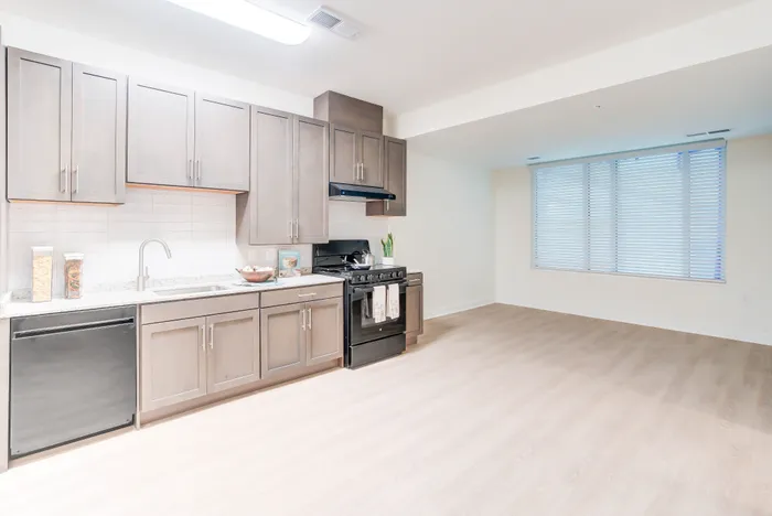 Large Open Kitchen/Living/Dining Area- A 1BR-H ANSI Accessible Floor Plan | Indigo at McLean Station | Affordable Tysons Corner Apartments | Affordable Fairfax VA Apartments | Affordable McLean VA Apartments