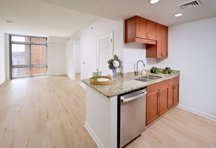 View of the Schubert Studio living room and entry to the sleeping area featuring new wood-style flooring and updated lighting | Meridian at Grosvenor Station | Luxury North Bethesda MD Apartments | Luxury Rockville MD Apartments