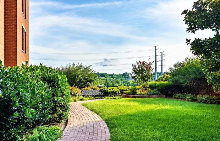 Apartment courtyard with outdoor grills, dining tables, and a view of the Washington Masonic Memorial. | Meridian at Eisenhower Station | Luxury Alexandria VA Apartments