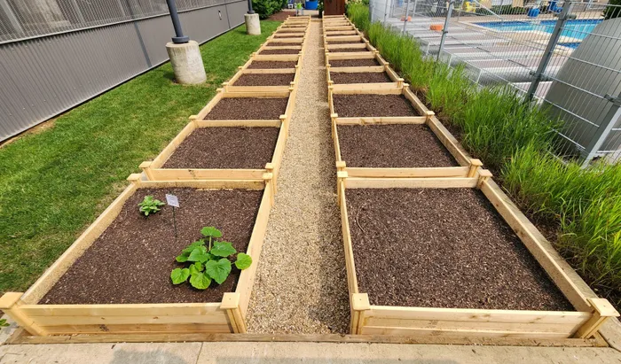 Communal Garden