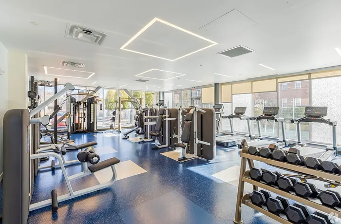 Modern fitness center with state-of-the-art cardio machines, strength training equipment, and bright natural lighting.