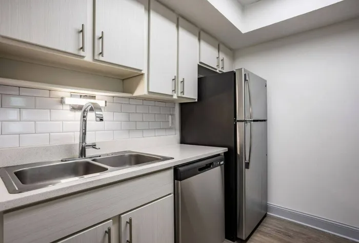 1x1 Renovated Kitchen
