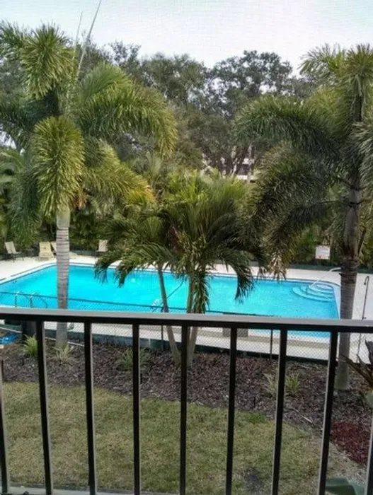 Pool and Sun Deck
