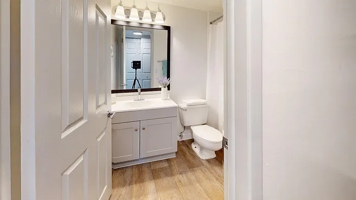Inviting bathroom with modern vanity, elegant lighting, and chic wooden flooring.