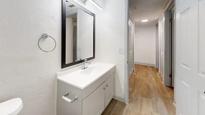 Elegant bathroom vanity with a large mirror, modern sink, and stylish hallway with wood flooring in a bright, inviting apartment.