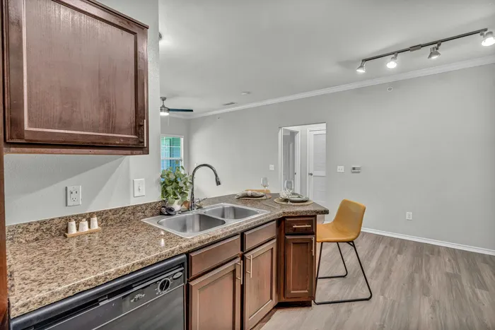Kitchen sink