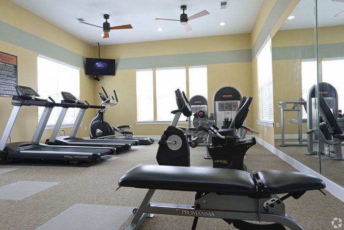 Bright and spacious apartment gym featuring state-of-the-art exercise equipment and ample natural light.