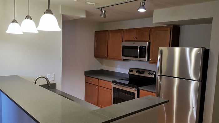Modern kitchen with stainless steel appliances, sleek countertops, and elegant pendant lighting.