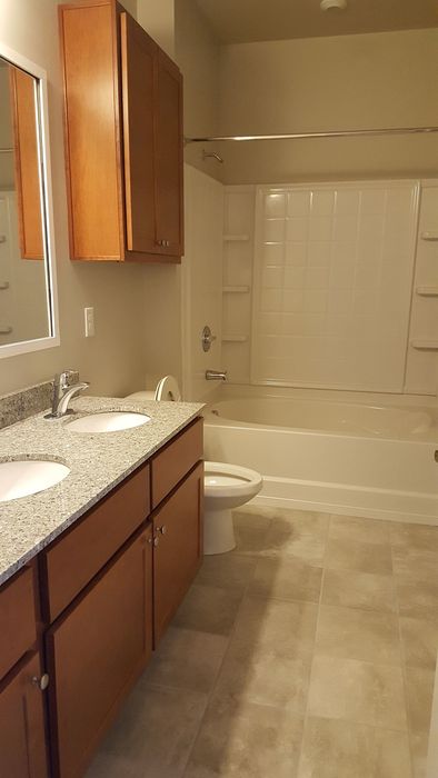Modern bathroom with elegant granite double sinks, stylish wooden cabinetry, and a pristine bathtub.