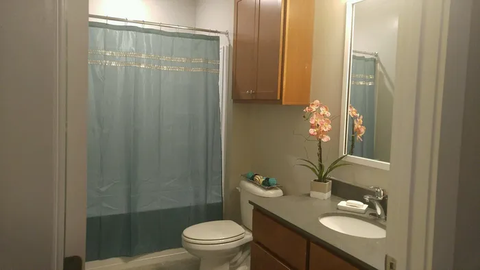 Elegant bathroom with a stylish vanity, vibrant orchid, and soothing blue shower curtain.