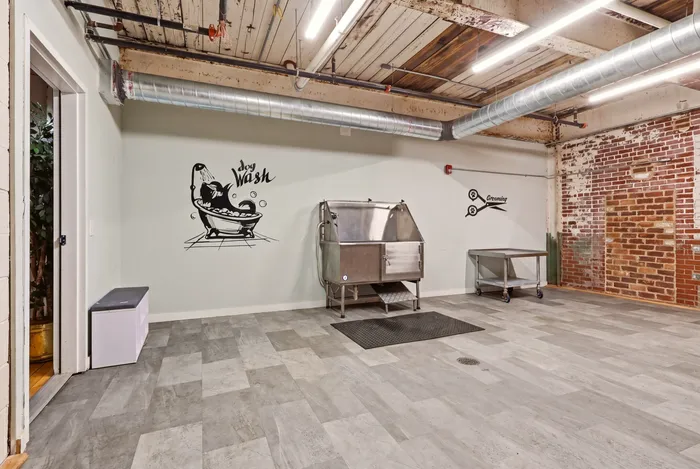 Spacious industrial-style dog wash area with sleek grooming station, exposed brick walls, and polished concrete flooring.