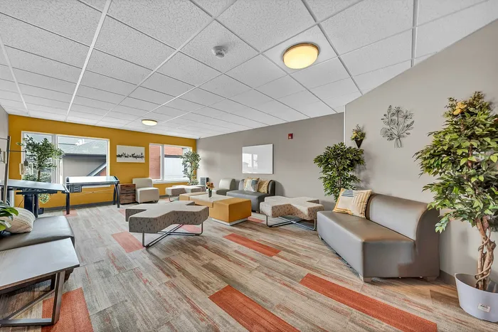 Inviting communal lounge area and architecture study room with modern seating, vibrant decor, and abundant natural light, perfect for social gatherings and relaxation.