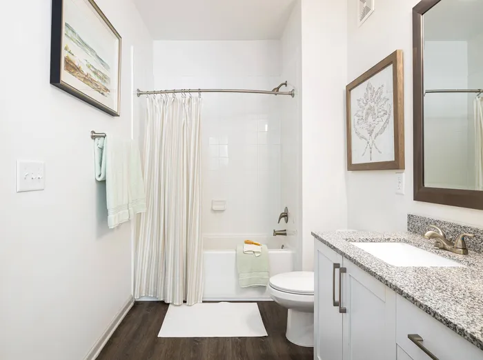 Apartments For Rent in Buford, GA - The Harrison at Braselton - Bathroom with Wood-Style Plank Flooring, Granite Countertop, White Cabinet, Shower and Tub Combo with Shower Curtain
