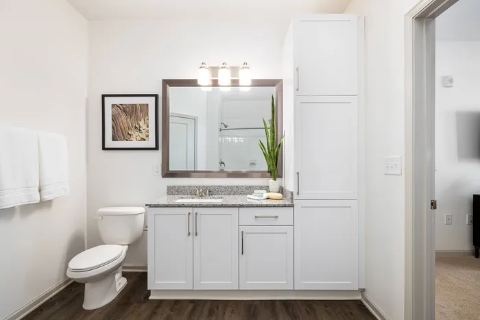 Apartments for Rent in Buford, GA - The Harrison at Braselton - Bathroom with Wood-Style Flooring, Mirror, and White Cabinets.