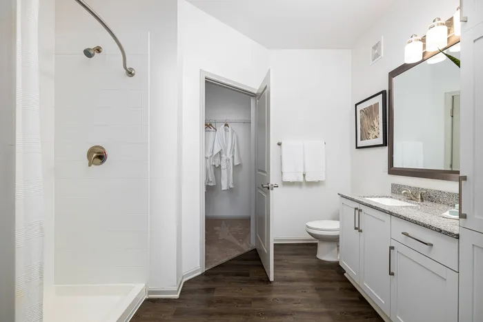 Two-Bedroom Apartments in Buford, GA - The Harrison at Braselton - Wood-Style Plank Flooring, Large Vanity, Large Mirror, Light Fixtures, Wall Art, Shower, Towel Bar, and Oversized Closet.