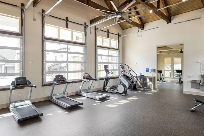 Dog-Friendly Apartments in Buford, GA - The Harrison at Braselton - Fitness Center with Treadmills, an Elliptical, Stair Master, Large Windows and High Ceilings with Ceiling Fans
