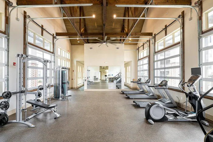 cardio equipment Harrison at Braselton Buford GA 30519