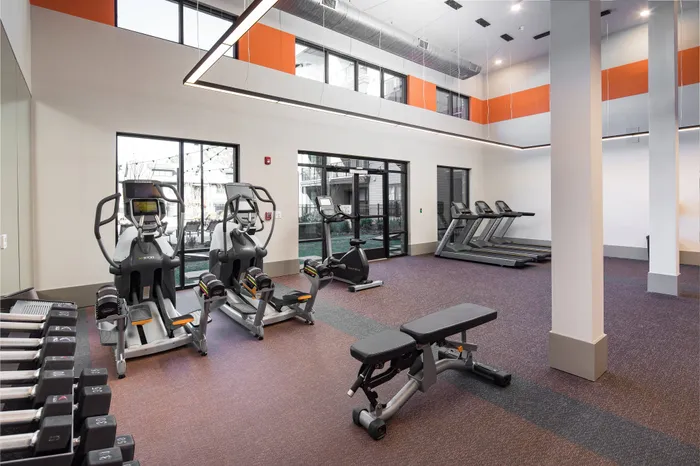 Studio Apartments in Gainesville, GA - The Mill at New Holland - Fitness Center with High Ceilings, Expansive Windows, Cardio Equipment, and Free Weights.