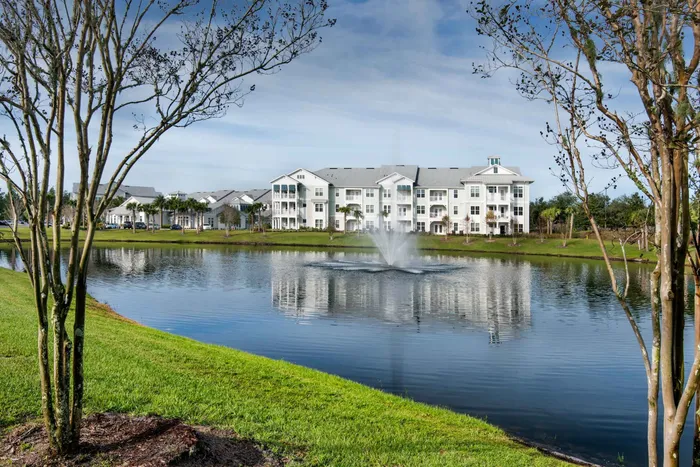 apartment building and lake framed by two trees