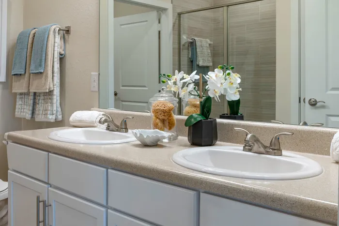 upclose of double vanity sink