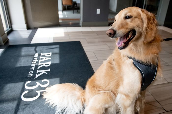 Pet friendly apartments at Park 35 Birmingham AL 35222