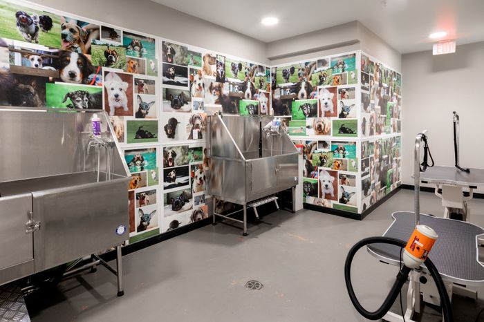 Pet spa at Park 35 Birmingham AL 35222