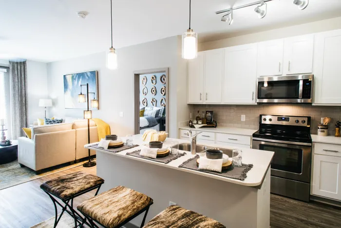 Luxury kitchen with white cabientry