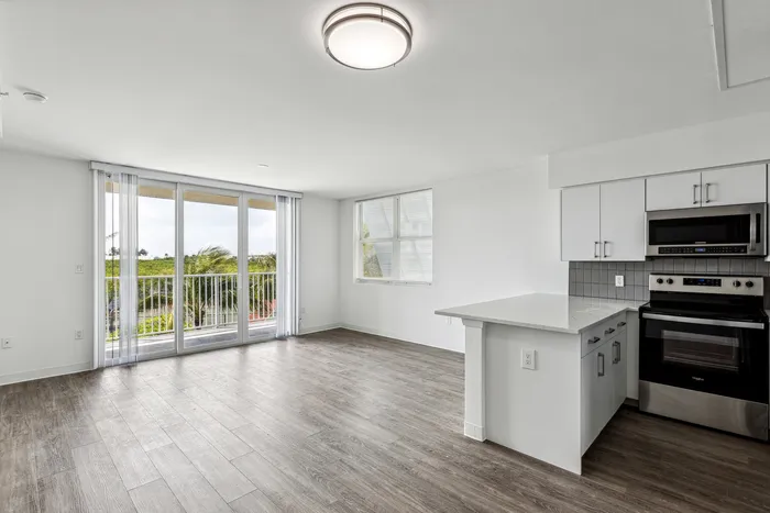 Newly designed Kitchen and Living Room