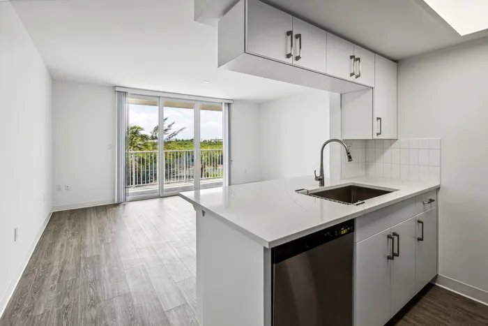 Newly designed Kitchen and Living Room