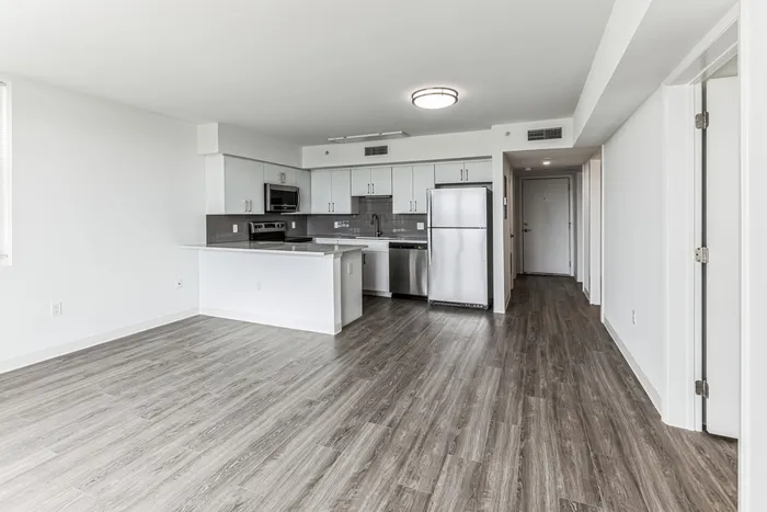 Newly designed Kitchen and Living Room