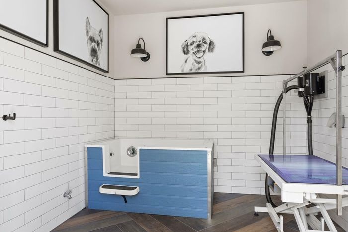 Pet Spa | Apartments in Matthews, NC | Chestnut Farm