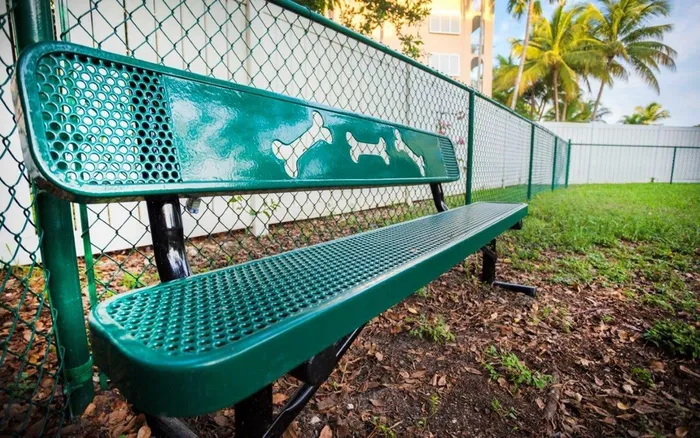 Bench in Pet Park