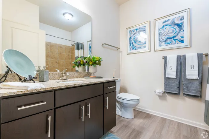 Luxurious bathroom with granite countertop and modern decor.