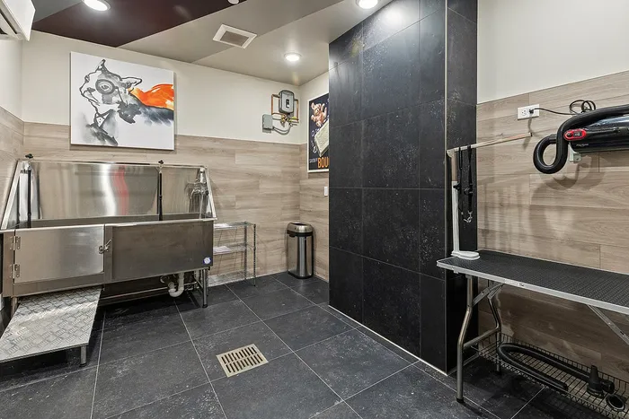 Luxurious pet grooming room featuring sleek stainless steel wash tub, modern drying station, and elegant tile flooring in a stylish setting.