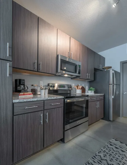 Modern kitchen with sleek dark cabinetry, stainless steel appliances, and stylish granite countertops, perfect for culinary enthusiasts.