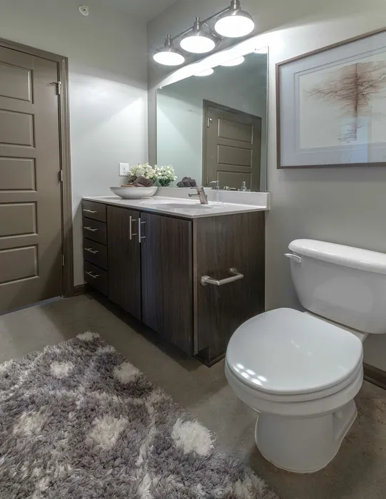 Contemporary bathroom with sleek dark vanity, modern lighting, and plush rug exudes elegance and comfort.