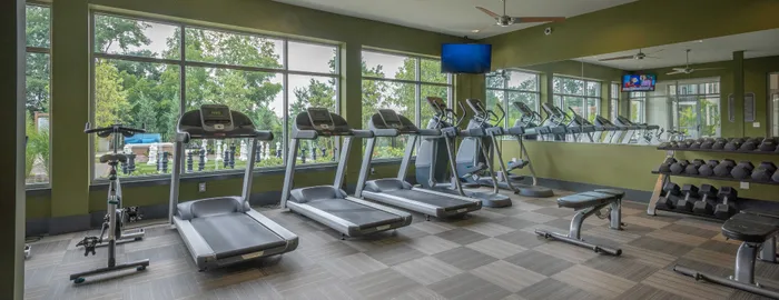 Bright and modern gym with a row of treadmills, exercise bike, and free weights, surrounded by large windows offering lush green views.